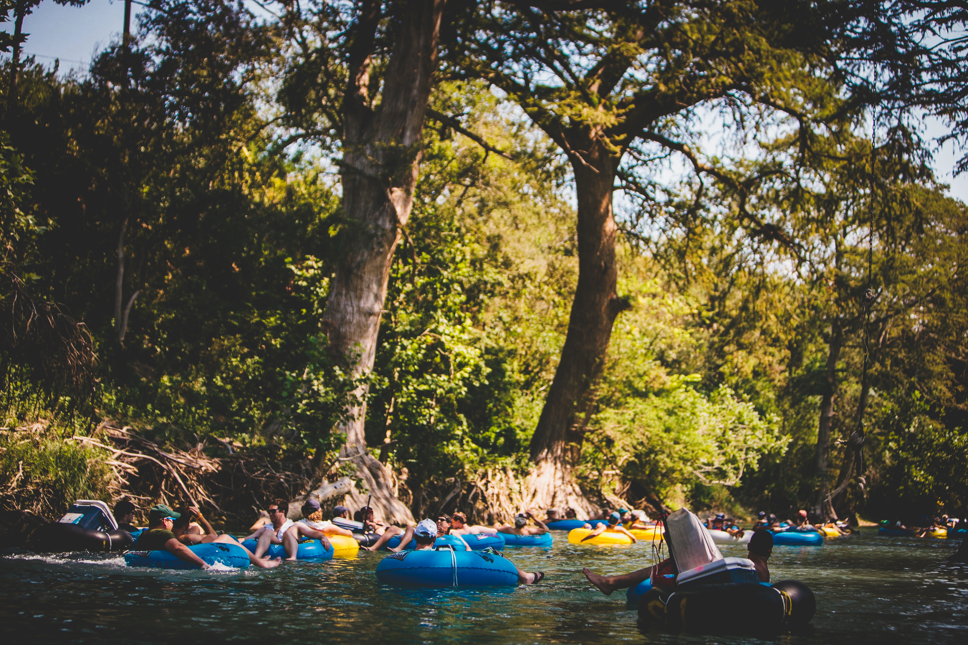 Large cypress trees lining the edges of the San Marcos River